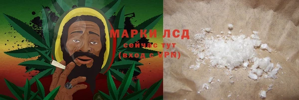 spice Аркадак