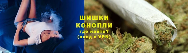 spice Аркадак