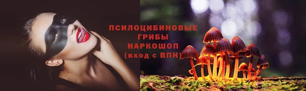 spice Аркадак