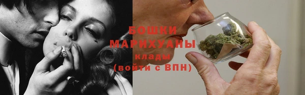 PSILOCYBIN Покачи