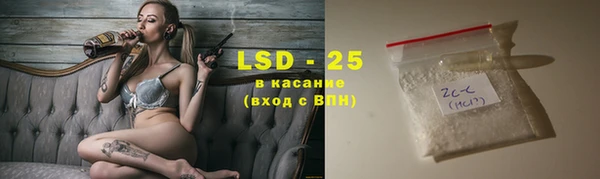 spice Аркадак