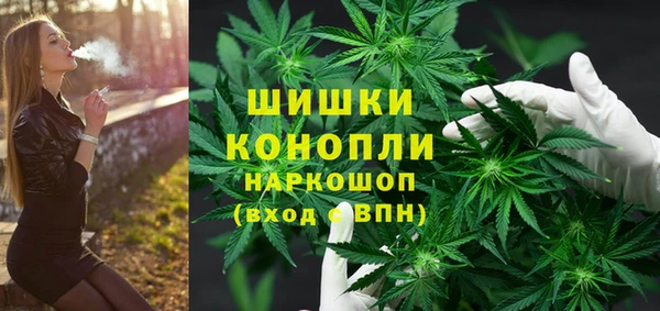 spice Аркадак