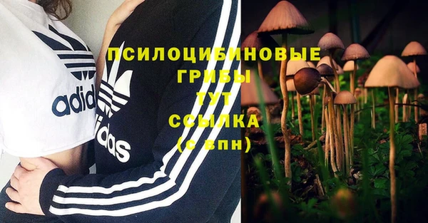 крисы Армянск