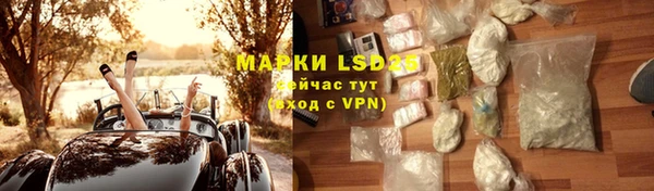 spice Аркадак