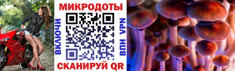 Галлюциногенные грибы Cubensis  Лакинск 